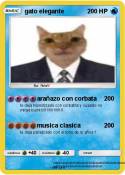 gato elegante gato elegante