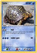 tortle