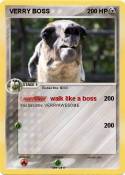 VERRY BOSS