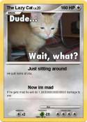 The Lazy Cat