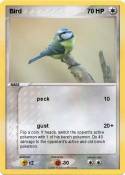 Bird