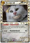 the crazy cat!