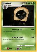 bread cat