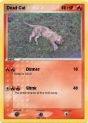 Dead Cat