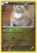 Fat Cat