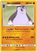 BIG CHUNGUS