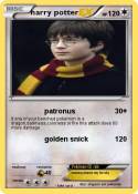 harry potter