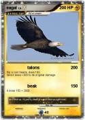 eagal