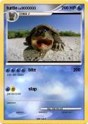 turtle