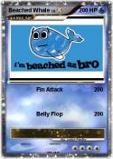 Beached Whale