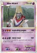 Wise Wizard