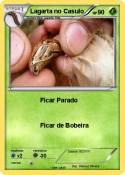 Lagarta no