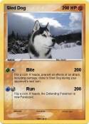 Sled Dog
