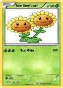 Twin Sunflower