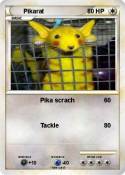 Pikarat