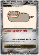 Bread Cat
