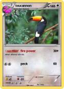 toucannon