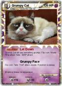 Grumpy Cat