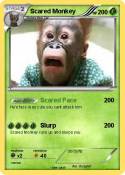 Scared Monkey
