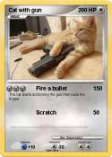 Cat with gun