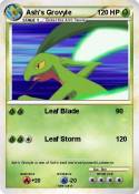 Ash's Grovyle