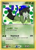 Nepeta