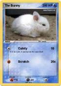 The Bunny