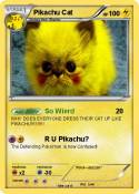 Pikachu Cat