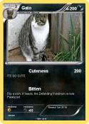 Gato