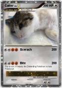 Catter Catter