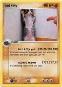 bad kitty