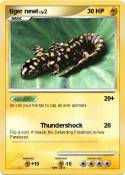 tiger newt