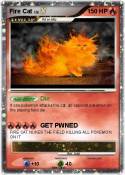 Fire Cat