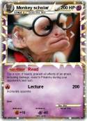 Monkey scholar