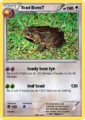 Toad BossT