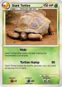 Giant Tortise