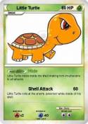 Little Turtle