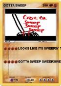 GOTTA SWEEP GOTTA SWEEP