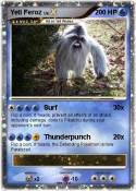 Yeti Feroz