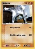 Ninja Cat