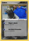 sealion