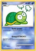 Turtle Turtle