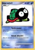 Ninja turtle!!!