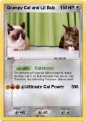 Grumpy Cat and
