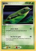 gecko