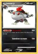 dry bowser jr