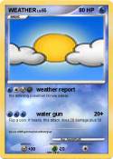 WEATHER