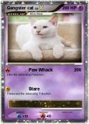 Gangster cat