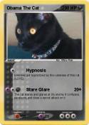 Obama The Cat