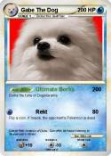 Gabe The Dog